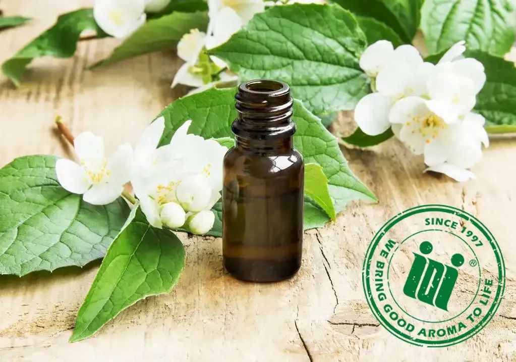 1705391266860635.jpg 640 (1).jpg