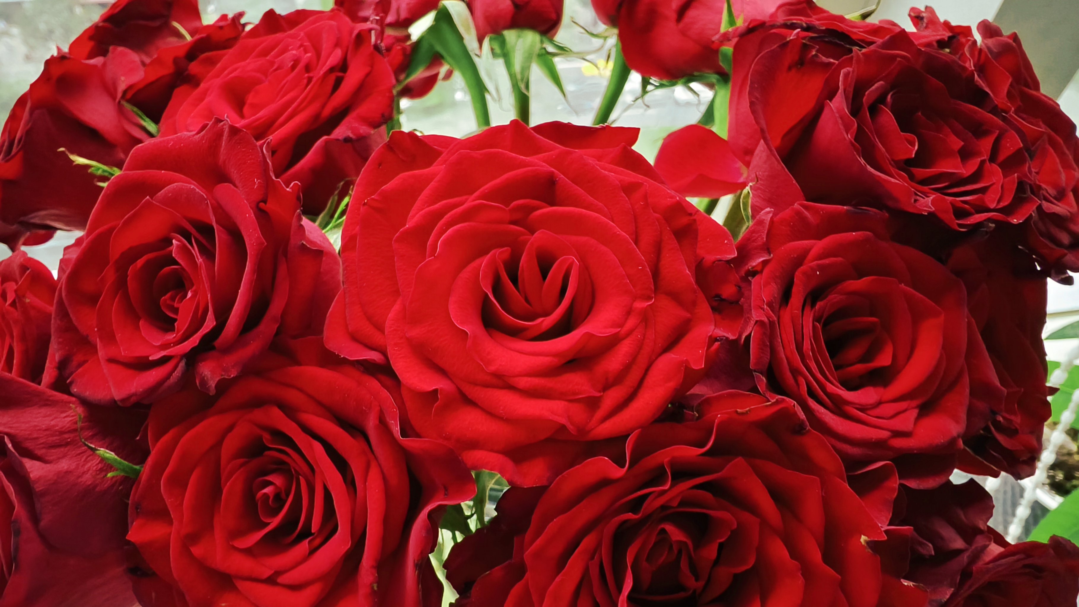 1741740976131642.jpg ΢ÐÅͼƬ_20250303133439.jpg