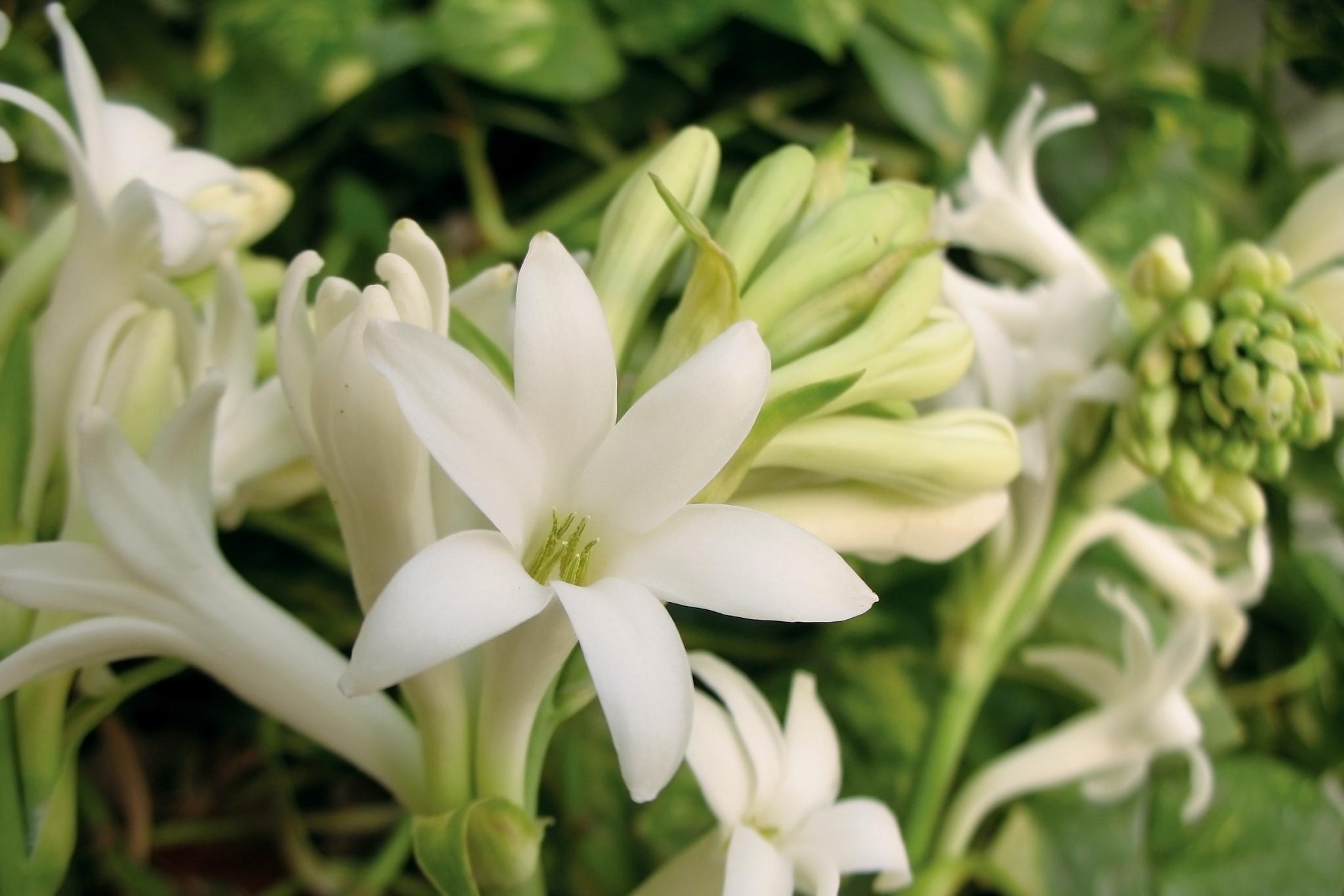 1741741087847338.jpg ΢ÐÅͼƬ_20250303134225.jpg