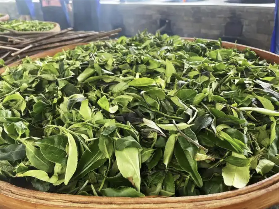 1768807153563113.png 69cd1640fee377261f051cf41e2f260d.png