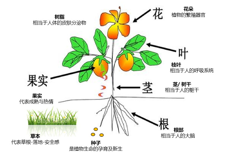 1705391180105729.png 640.png